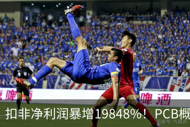 扣非净利润暴增19848%！PCB概念股，前十大股东新增神秘自然人